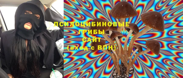МДПВ Арсеньев