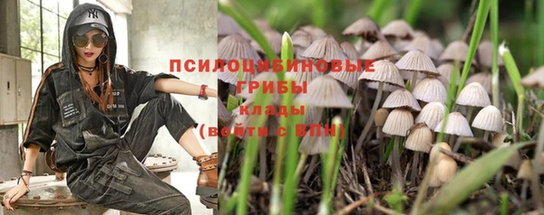 дживик Армянск