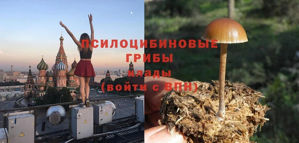 дживик Армянск